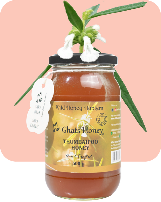 Thumbai Poo Honey - 500g
